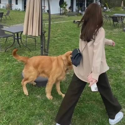 跨越阴阳界